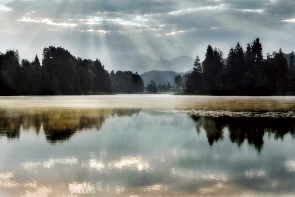 Morning Bliss I art print by Irene Weisz for $57.95 CAD