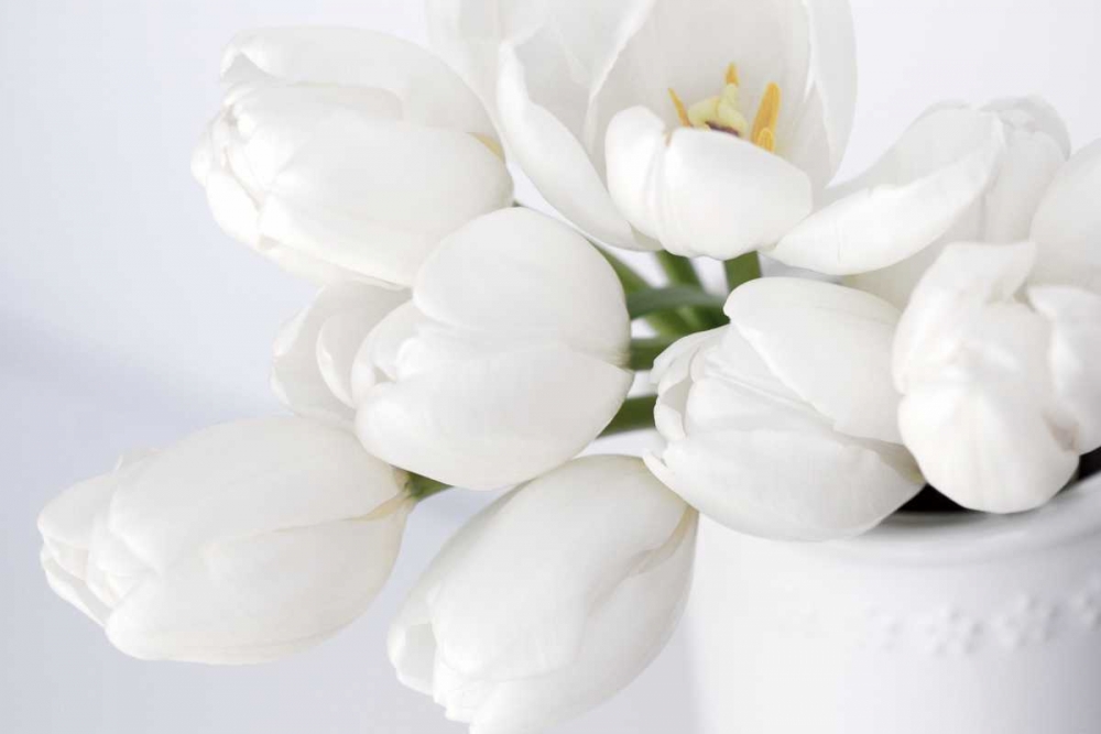 Elegant in White art print by Karen Naugle for $57.95 CAD