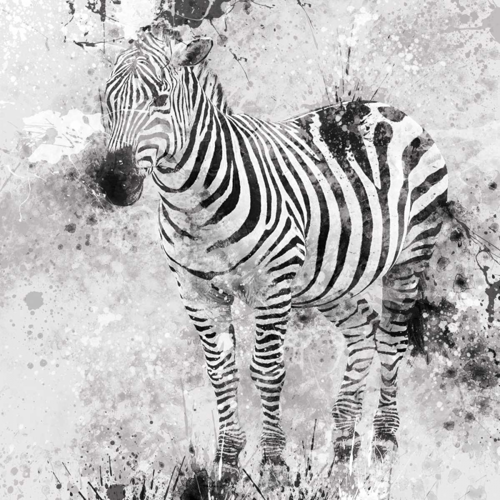 Zebra I art print by Carol Robinson for $57.95 CAD