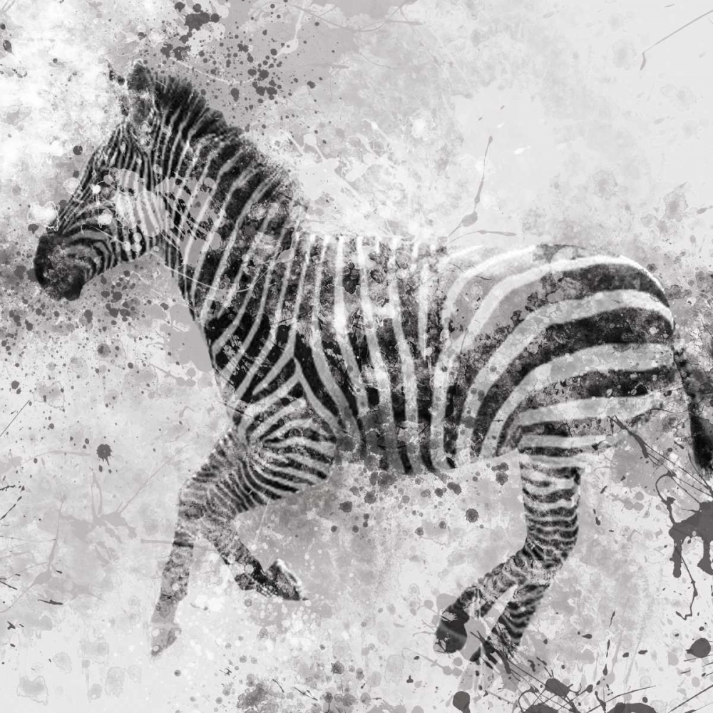 Zebra II art print by Carol Robinson for $57.95 CAD