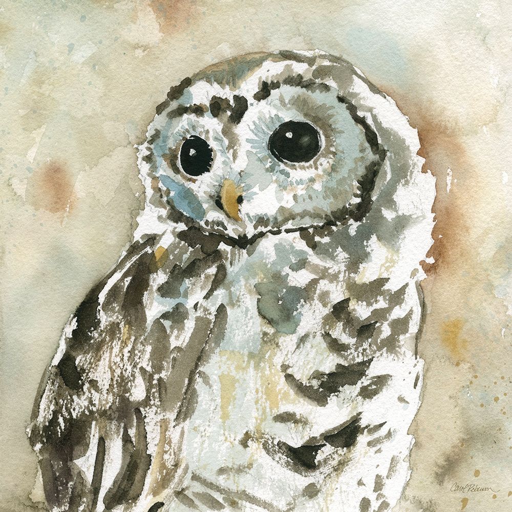 Woodland Owl art print by Carol Robinson for $57.95 CAD