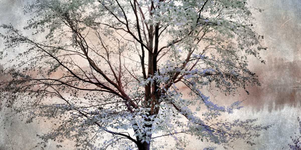 Dreamin of Spring art print by Irene Weisz for $57.95 CAD