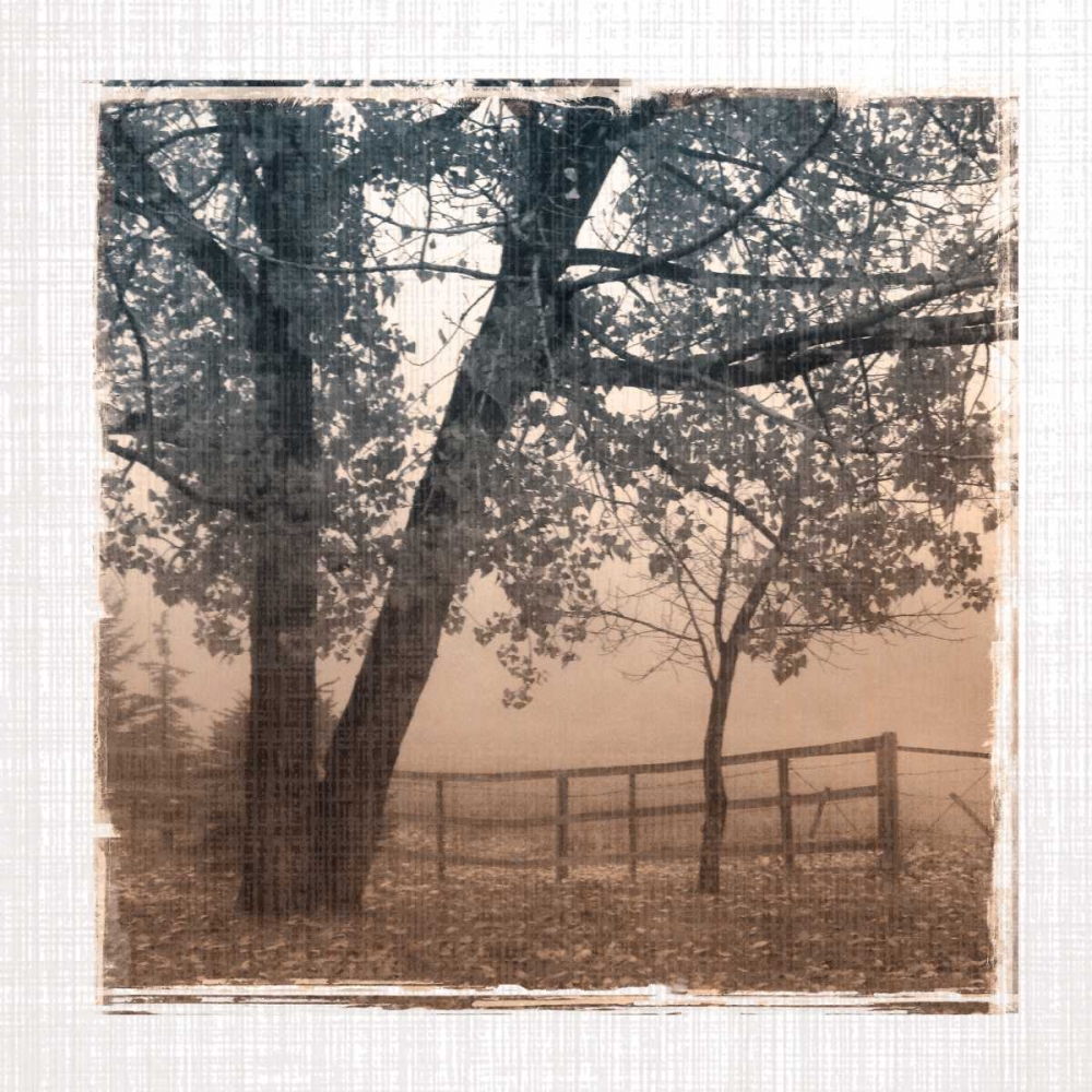 Foggy Light I art print by Carol Robinson for $57.95 CAD