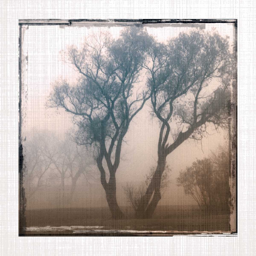 Foggy Light II art print by Carol Robinson for $57.95 CAD
