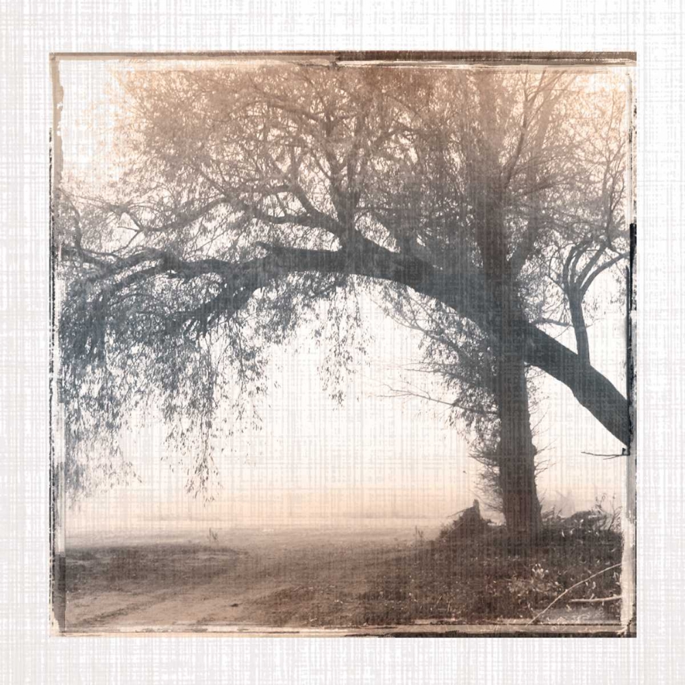 Foggy Light III art print by Carol Robinson for $57.95 CAD