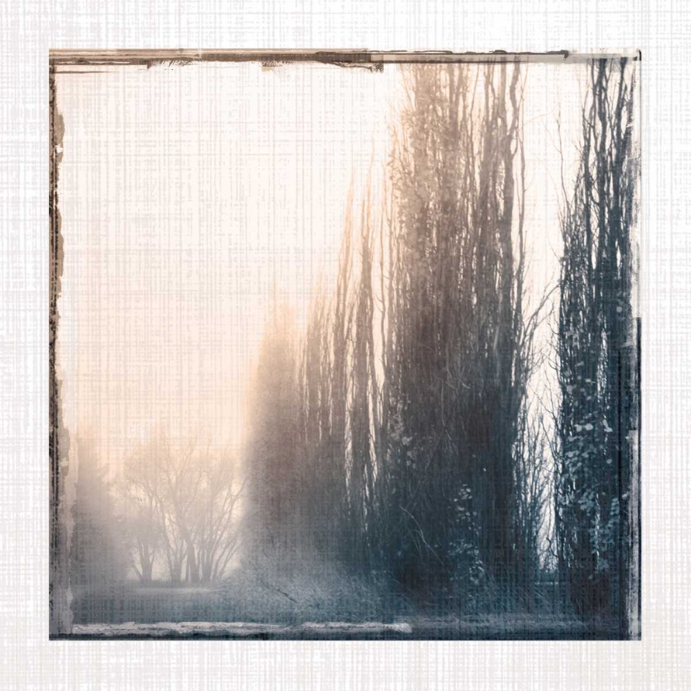 Foggy Light IV art print by Carol Robinson for $57.95 CAD
