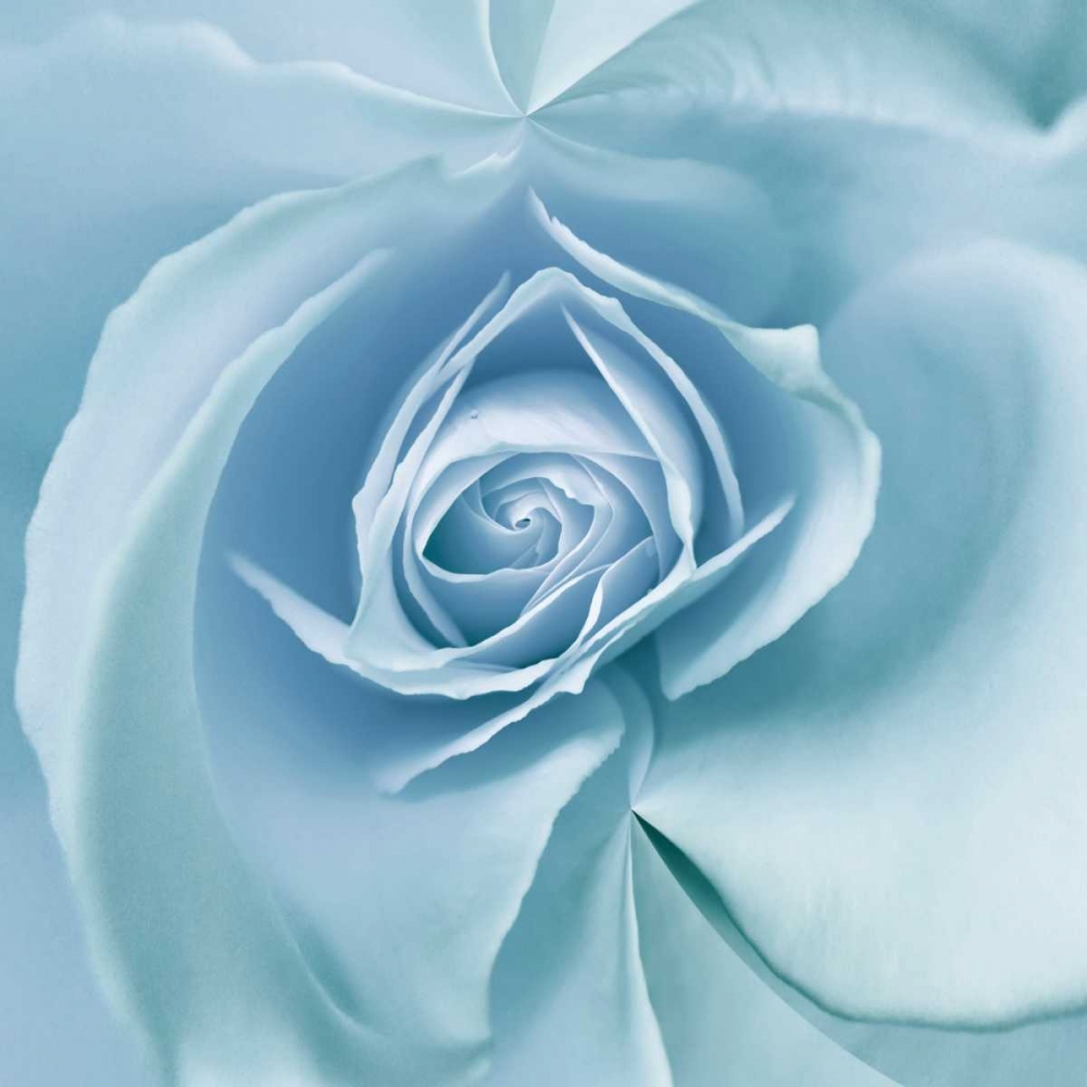 Blue Embrace art print by Danita Delimont for $57.95 CAD