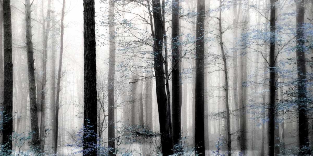 Waiting For Spring art print by Irene Weisz for $57.95 CAD