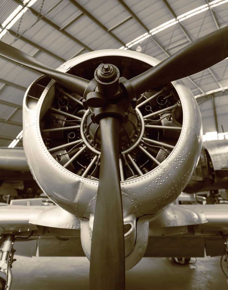 WWII Fighter art print by Walter Bibikow for $57.95 CAD