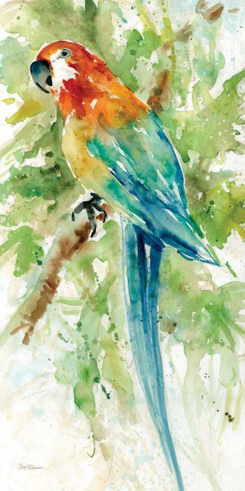 Island Beauty II art print by Carol Robinson for $57.95 CAD