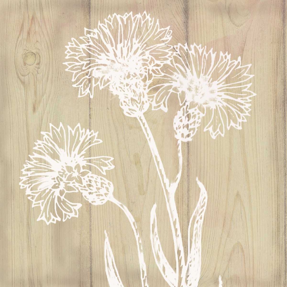 White Silhouette II art print by Nan for $57.95 CAD