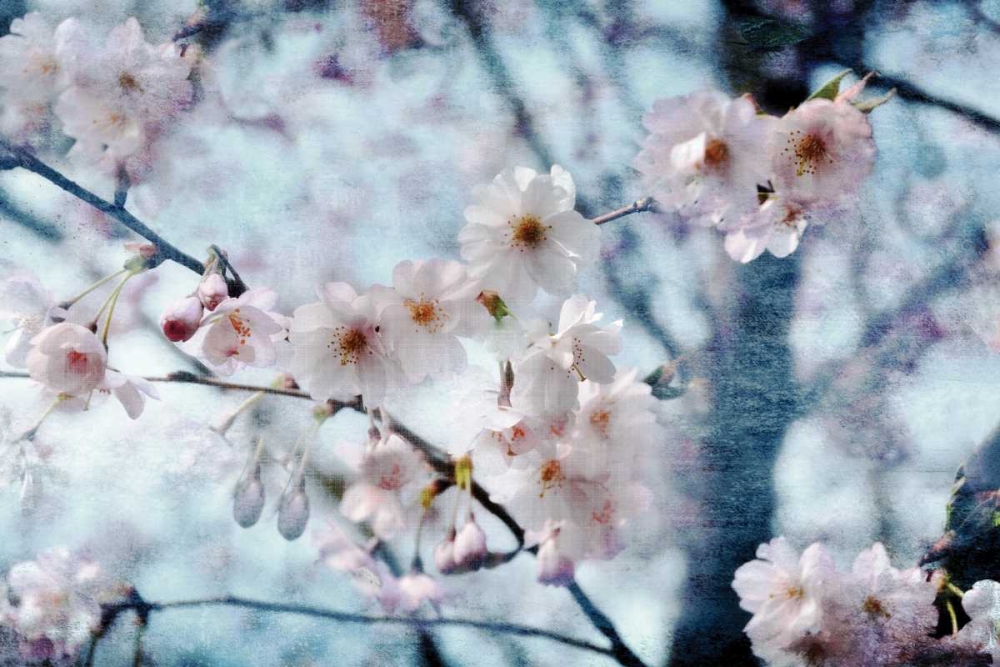 Flowering Joy art print by Irene Weisz for $57.95 CAD