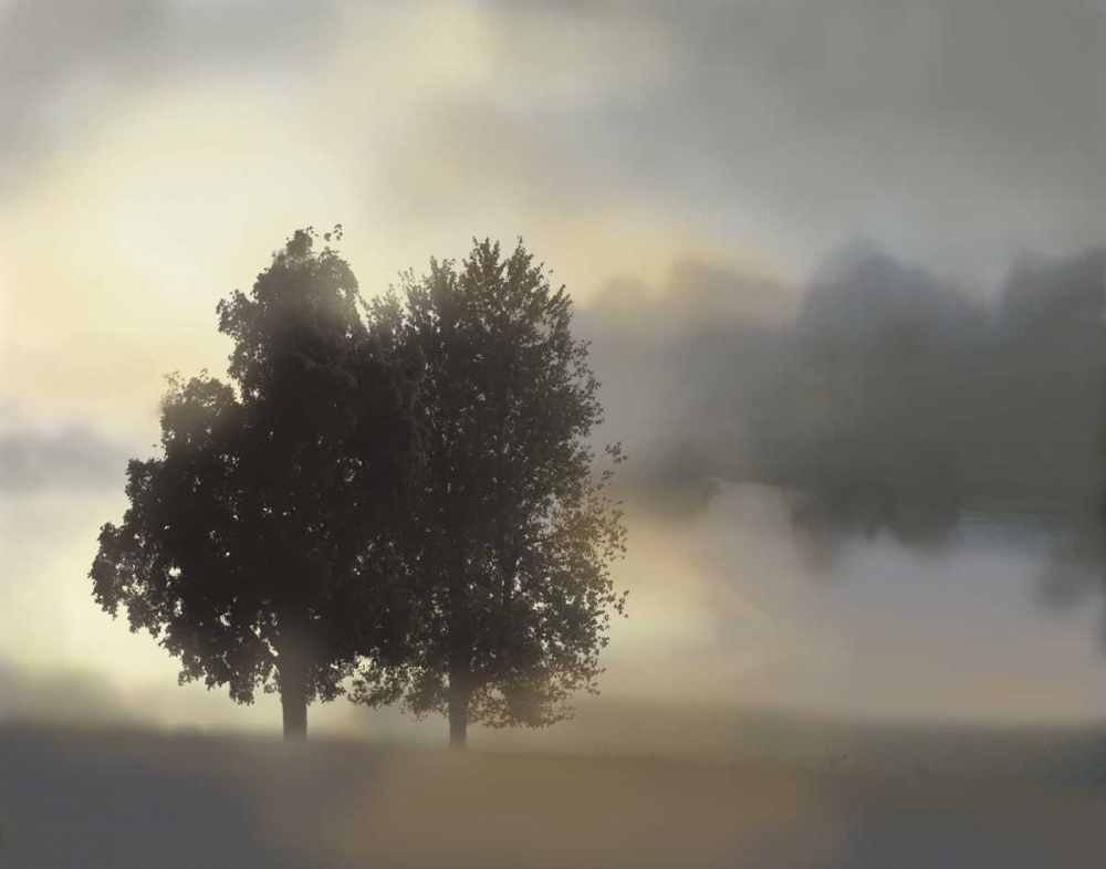 Misty Morning art print by Nan for $57.95 CAD