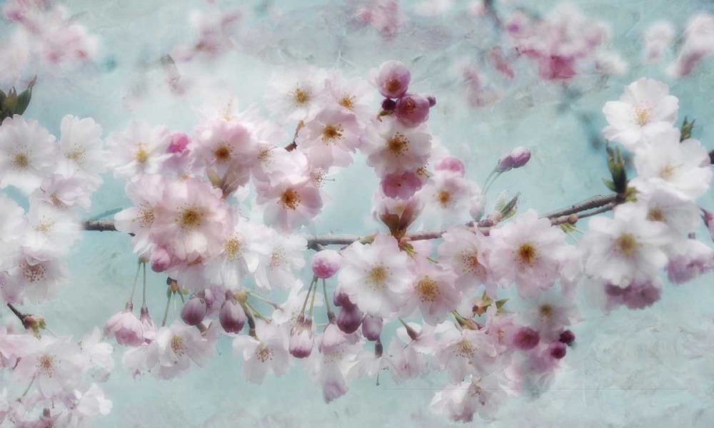 Scent of Spring art print by Irene Weisz for $57.95 CAD