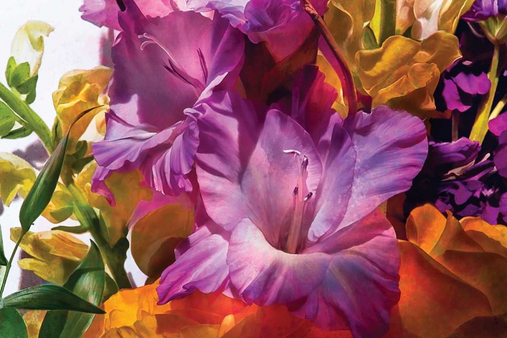 Anas Garden art print by Mike Calascibetta for $57.95 CAD