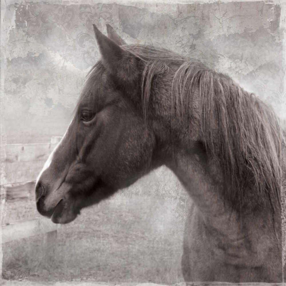 Vintage View II art print by Carol Robinson for $57.95 CAD