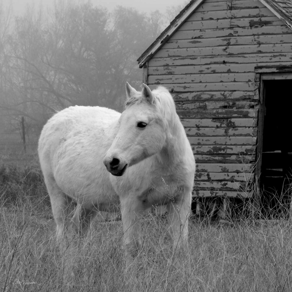 Morning Pasture art print by Carol Robinson for $57.95 CAD