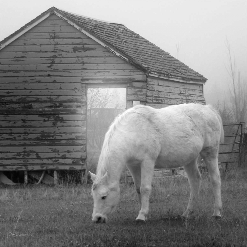 Misty Pasture art print by Carol Robinson for $57.95 CAD