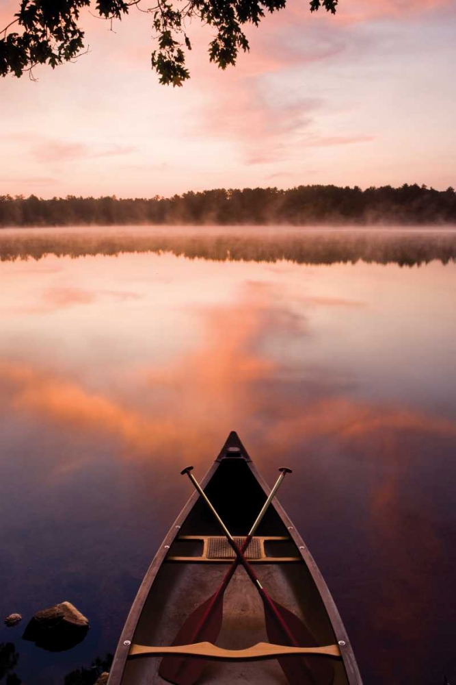 Lake At Dawn art print by Danita Delimont for $57.95 CAD