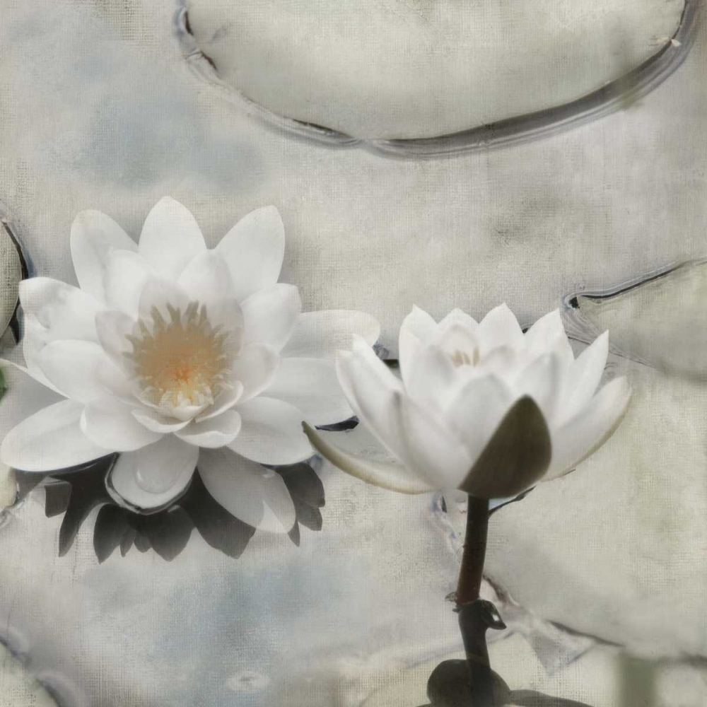 My Garden Pond II art print by Irene Weisz for $57.95 CAD