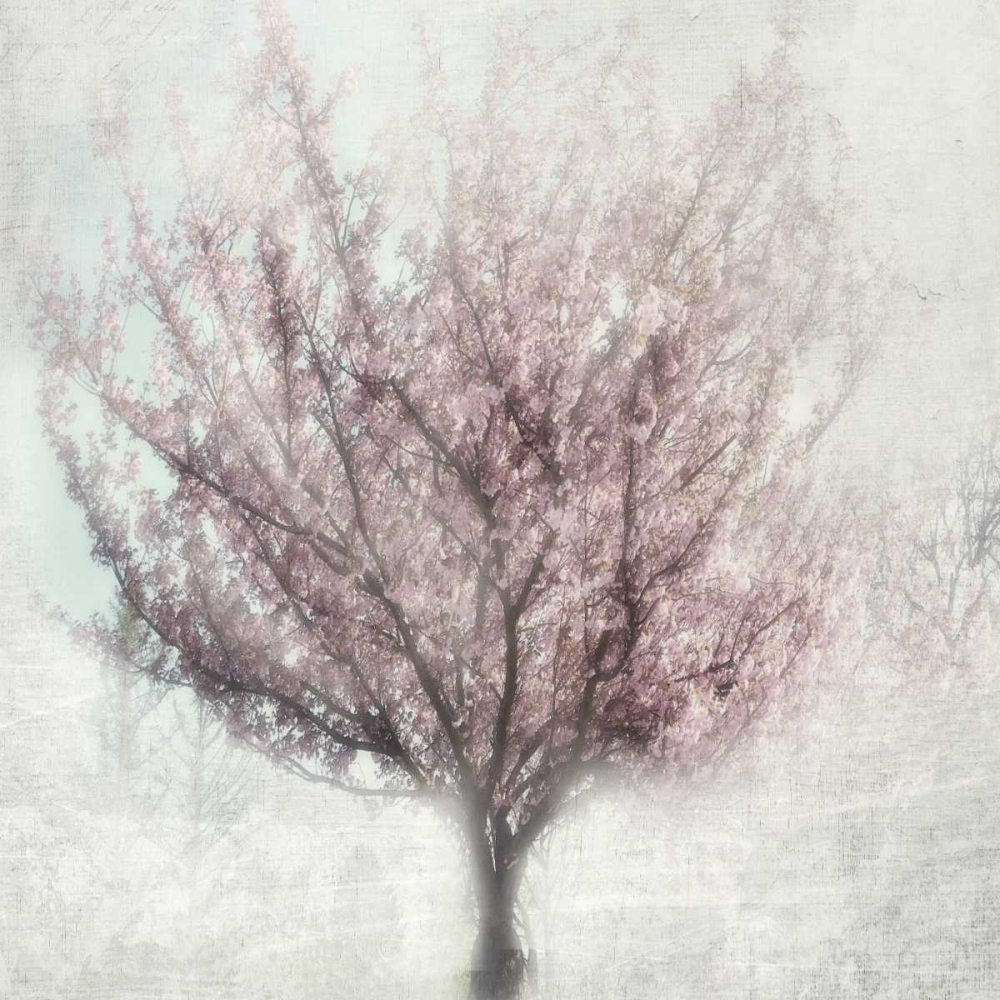 Blossoming of Spring art print by Irene Weisz for $57.95 CAD