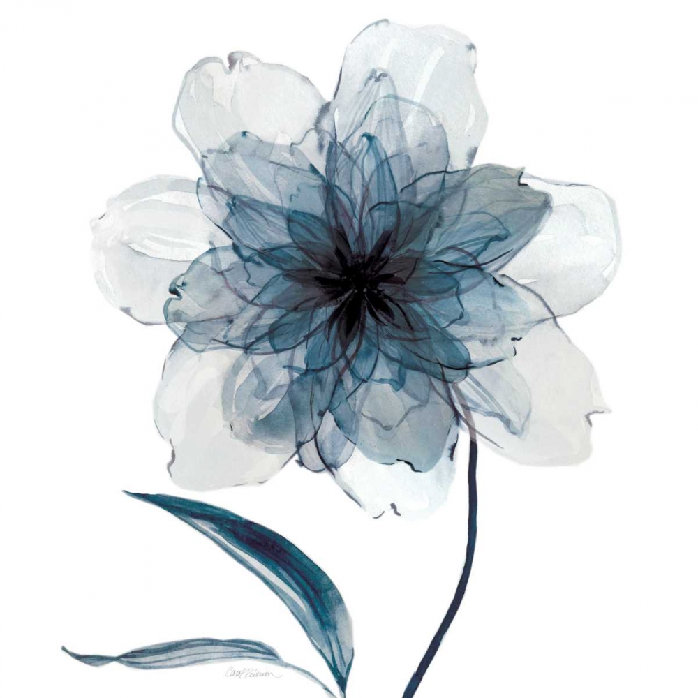 Indigo Bloom II art print by Carol Robinson for $57.95 CAD