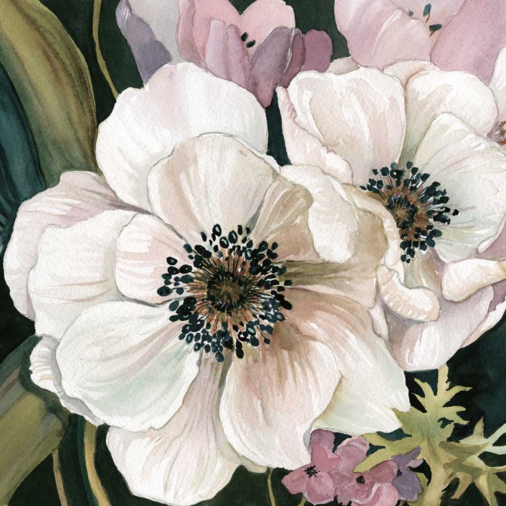 Anemone Study I art print by Carol Robinson for $57.95 CAD