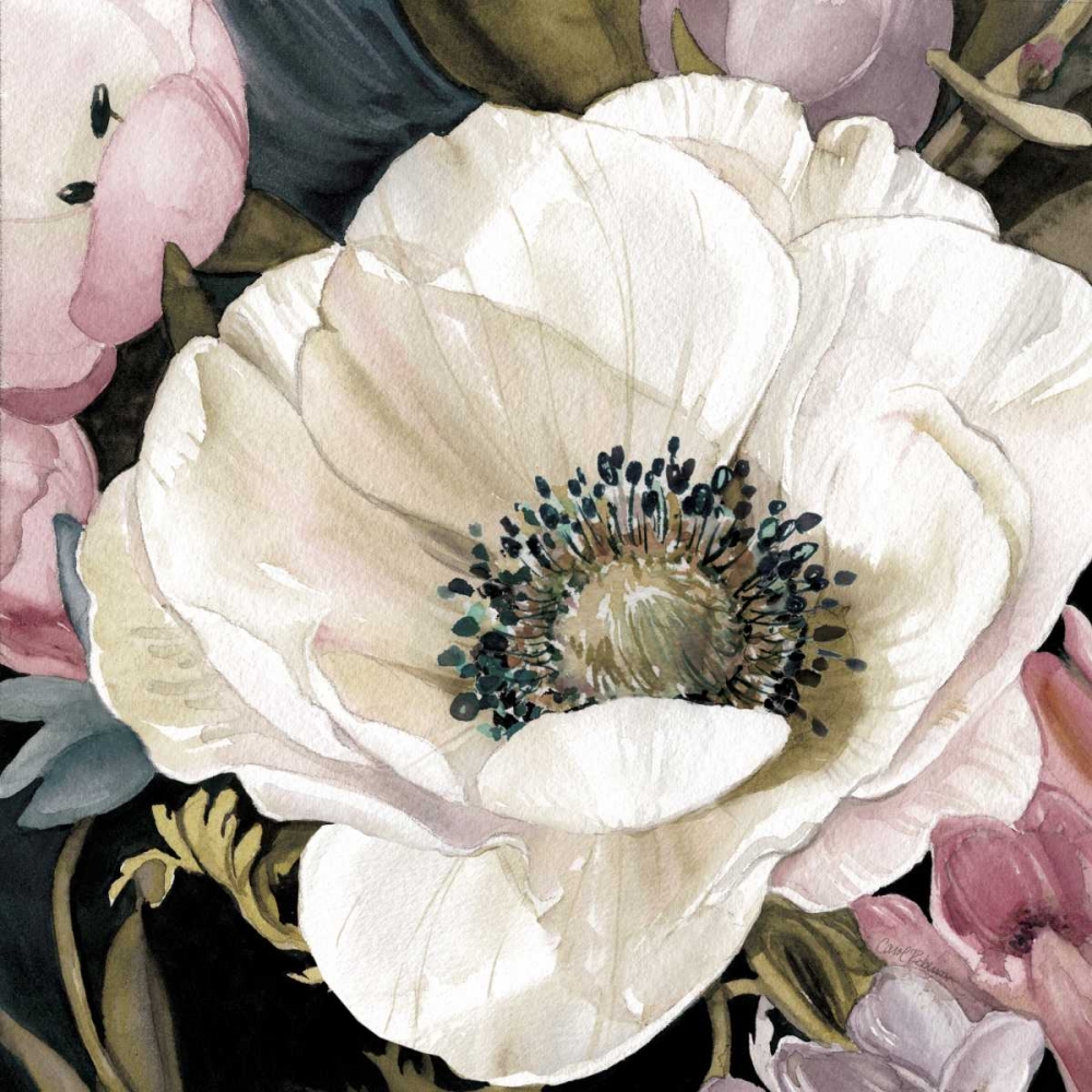 Anemone Study II art print by Carol Robinson for $57.95 CAD