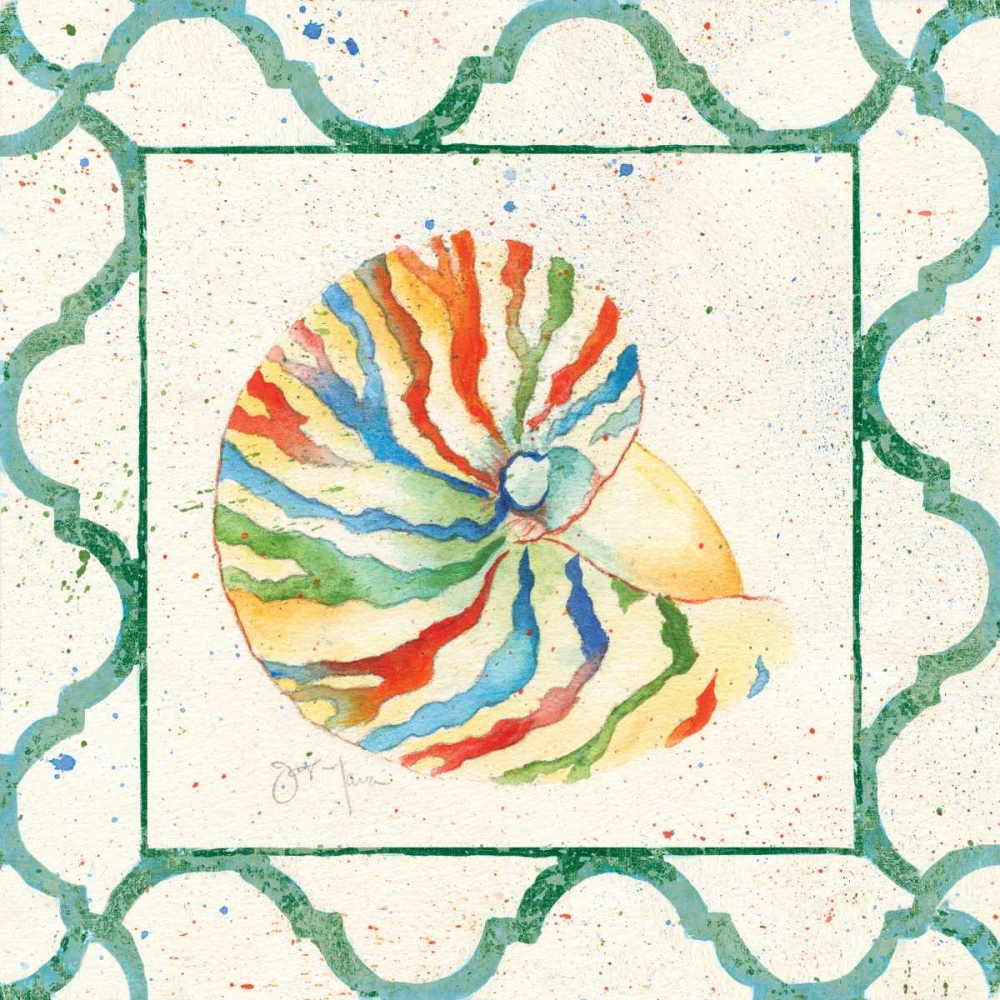 Zebra Nautilus art print by Tava Studios for $57.95 CAD