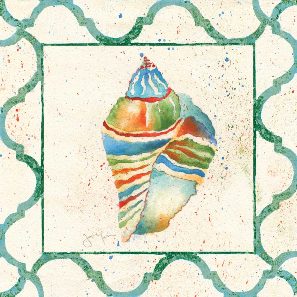 Zebra Conch art print by Tava Studios for $57.95 CAD