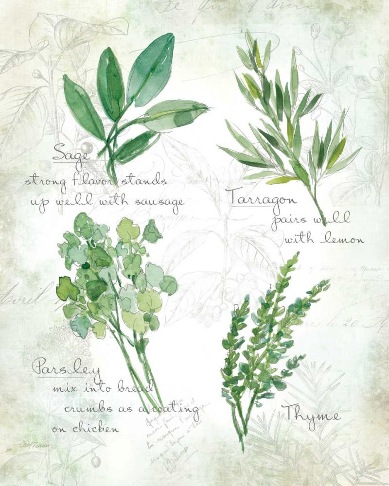 Fresh Herbs II art print by Carol Robinson for $57.95 CAD