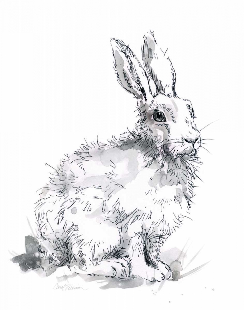 Garden Hare I art print by Carol Robinson for $57.95 CAD