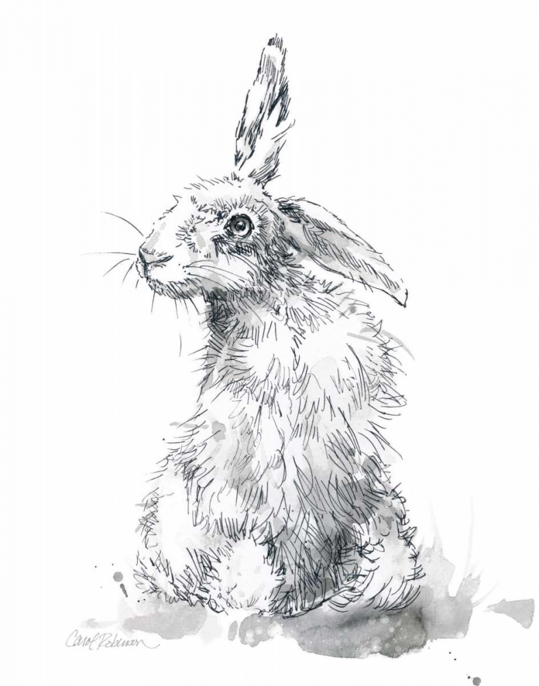 Garden Hare II art print by Carol Robinson for $57.95 CAD