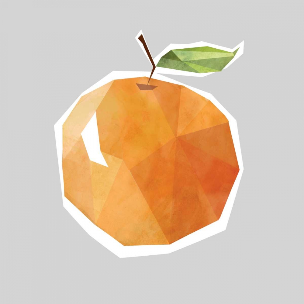 Facet Fruit Orange art print by Carol Robinson for $57.95 CAD