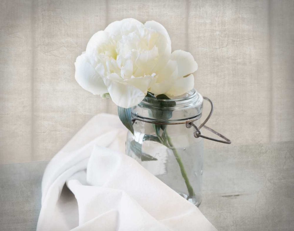 Mason Jar Bloom I art print by Danita Delimont for $57.95 CAD