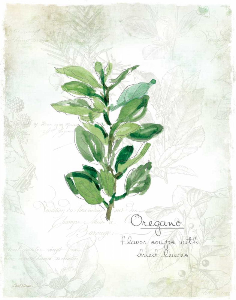Fresh Oregano art print by Carol Robinson for $57.95 CAD