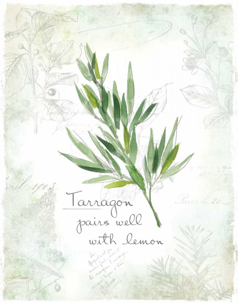 Fresh Tarragon art print by Carol Robinson for $57.95 CAD