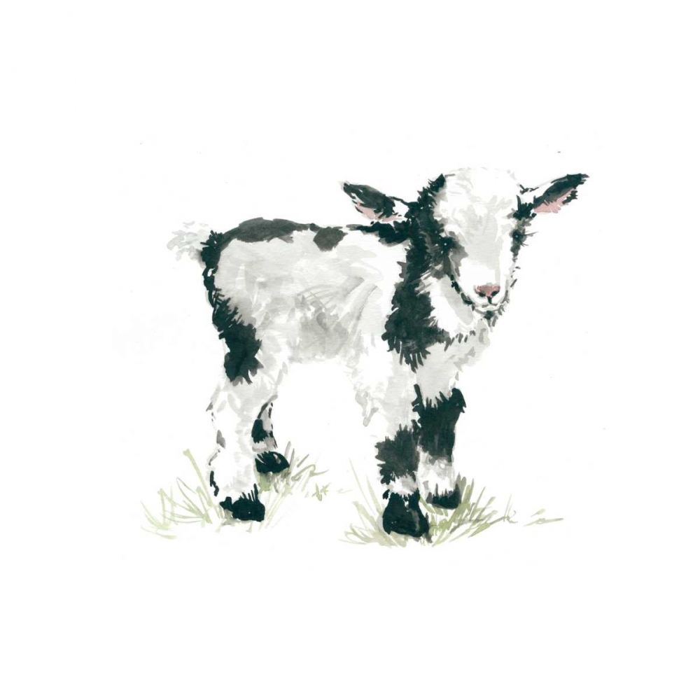 Baby Goat art print by Carol Robinson for $57.95 CAD