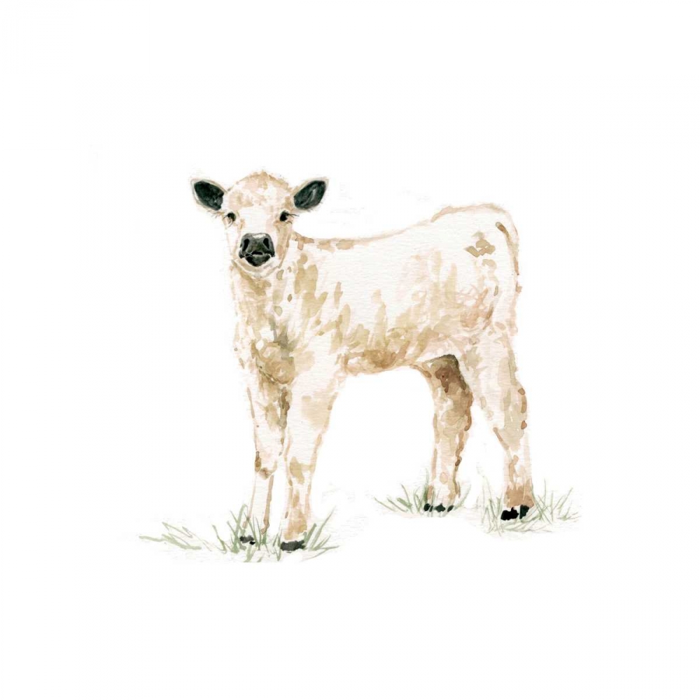 Baby Calf art print by Carol Robinson for $57.95 CAD
