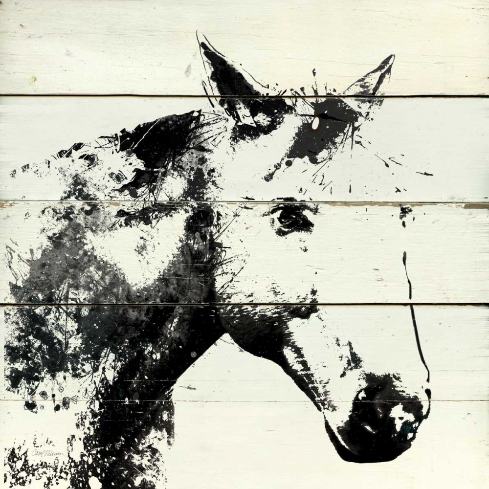 Barn Shadow art print by Carol Robinson for $57.95 CAD