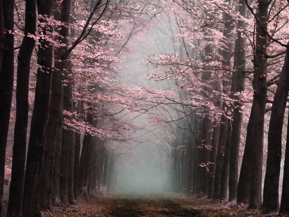 Listen art print by Lars Van de Goor for $57.95 CAD