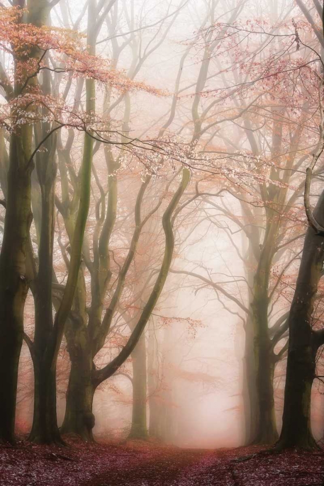 Pink Avenue art print by Lars Van de Goor for $57.95 CAD