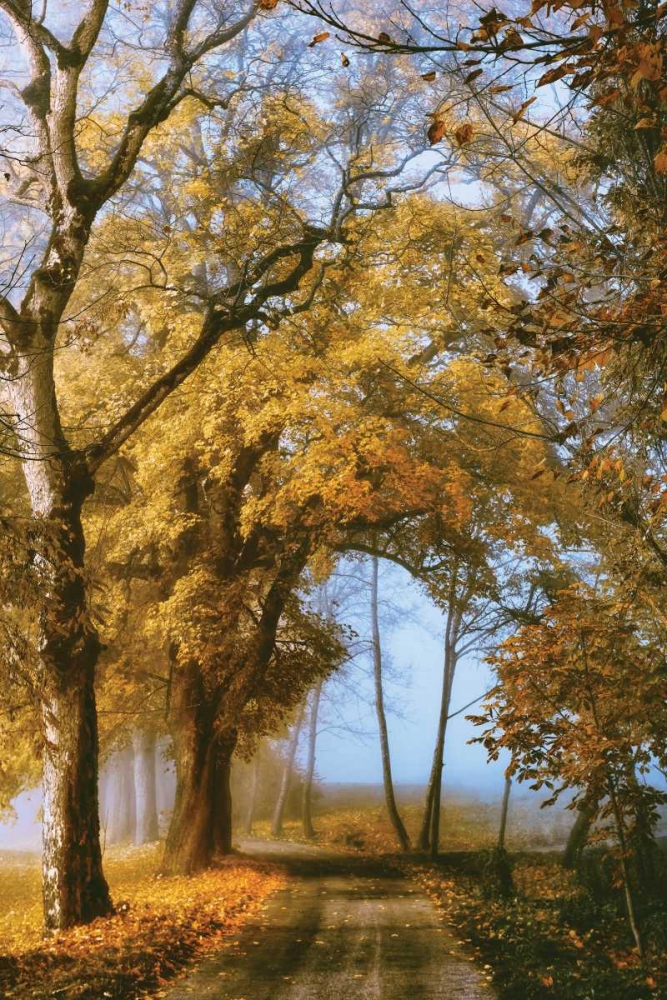 The Road to You art print by Lars Van de Goor for $57.95 CAD