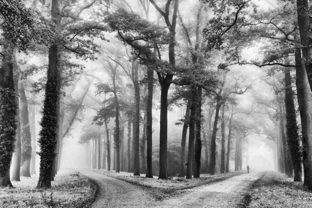 Turning Left art print by Lars Van de Goor for $57.95 CAD