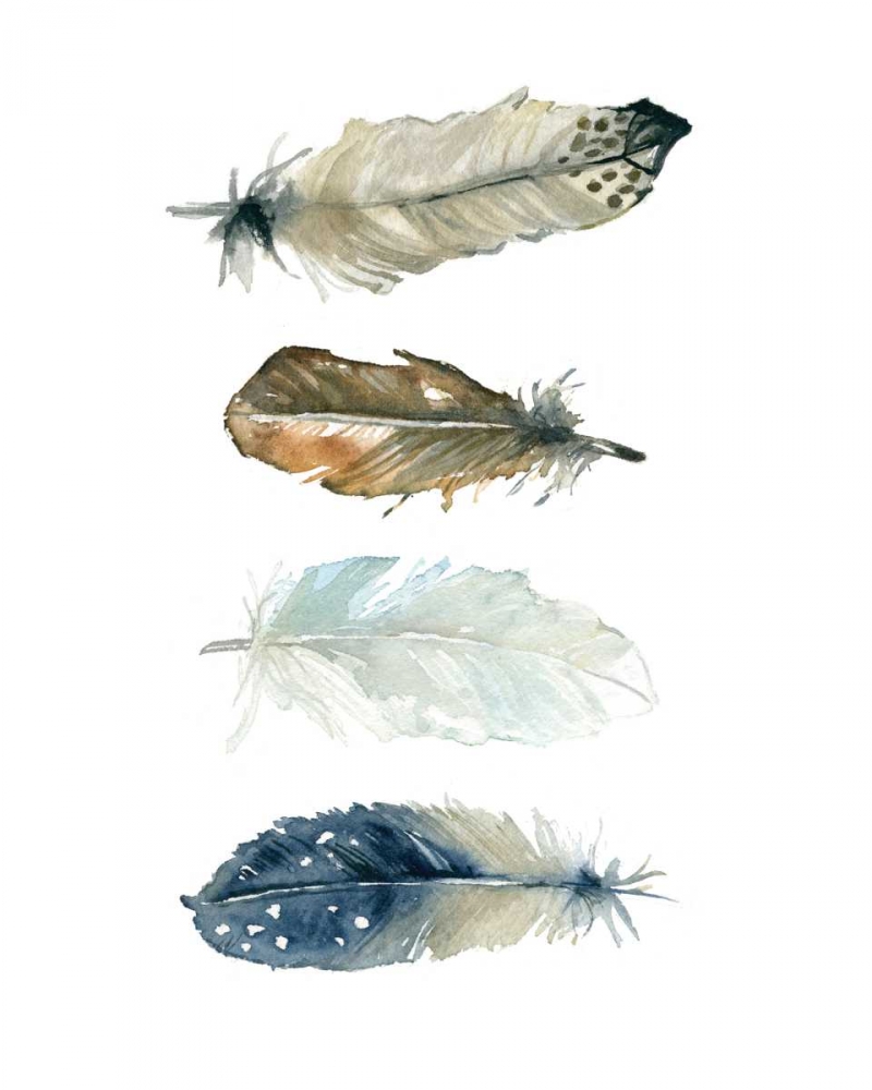 Feather Collection art print by Carol Robinson for $57.95 CAD