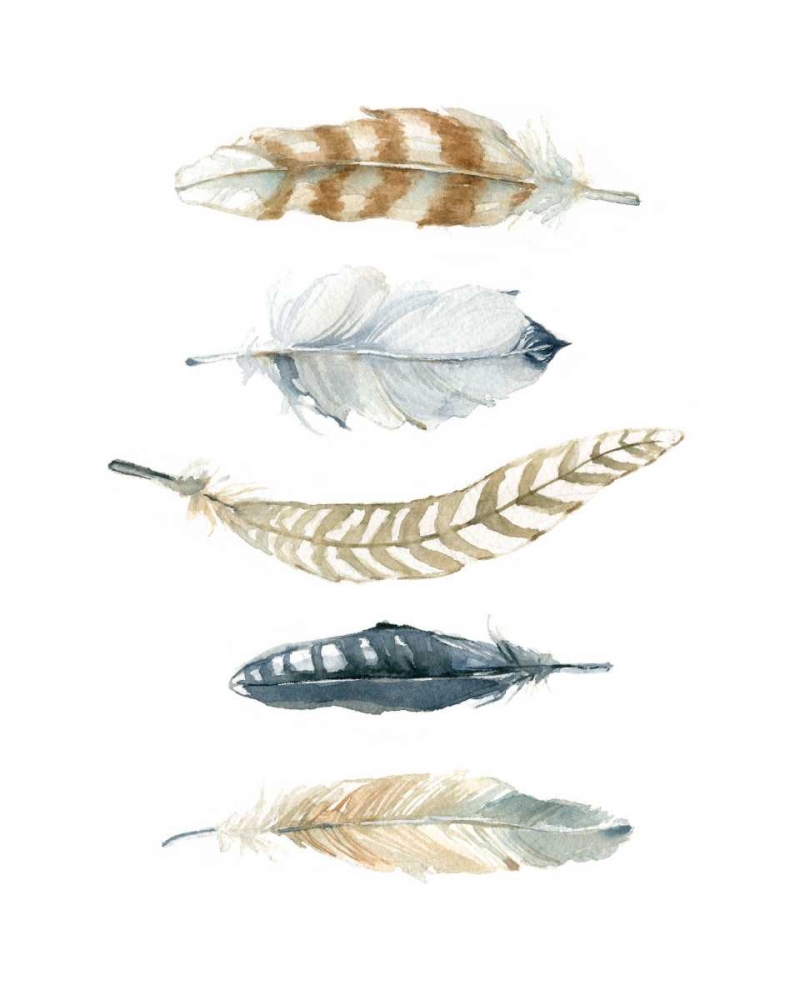 Feather Collection art print by Carol Robinson for $57.95 CAD