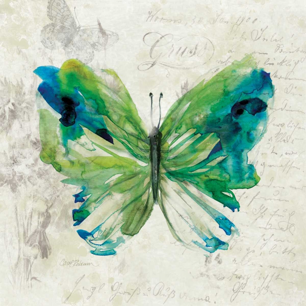 Butterfly Sketch I art print by Carol Robinson for $57.95 CAD