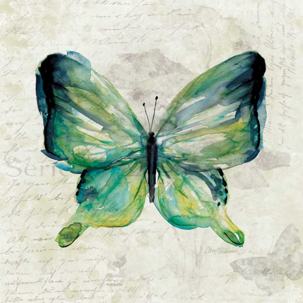 Butterfly Sketch art print by Carol Robinson for $57.95 CAD