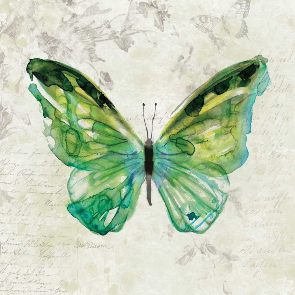 Butterfly Sketch art print by Carol Robinson for $57.95 CAD