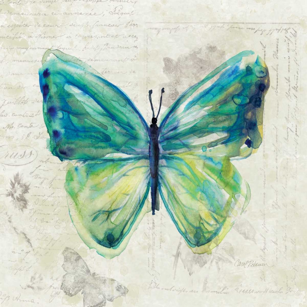 Butterfly Sketch art print by Carol Robinson for $57.95 CAD